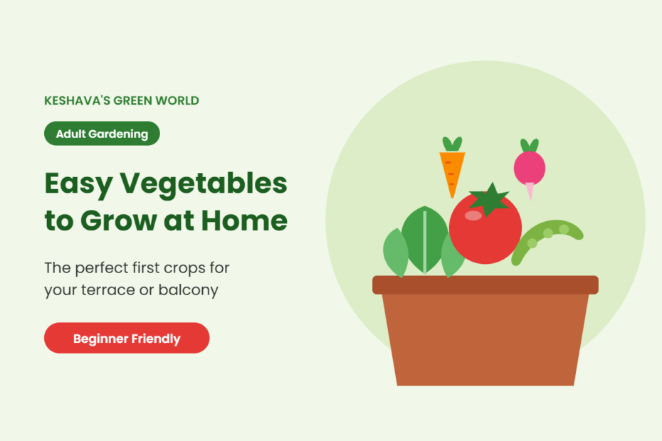 Easy vegetables to grow at home: tomato, beans, leafy greens, carrot and radish in a pot