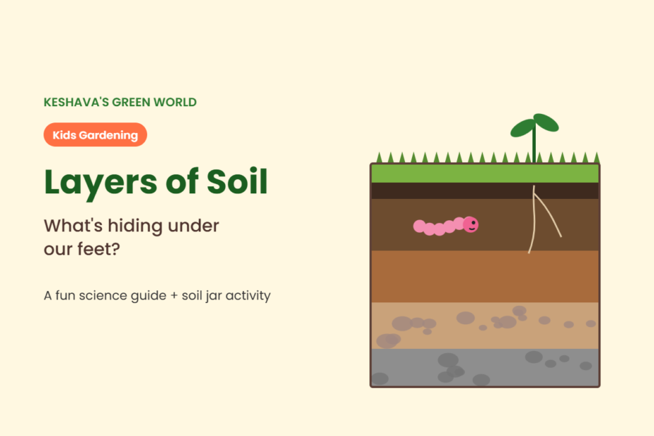 Cartoon of soil layers with an earthworm and a small plant