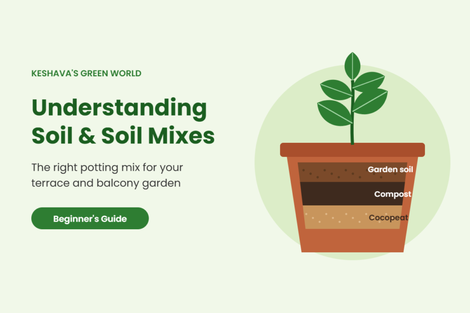 Soil mix layers of garden soil, compost and cocopeat in a pot