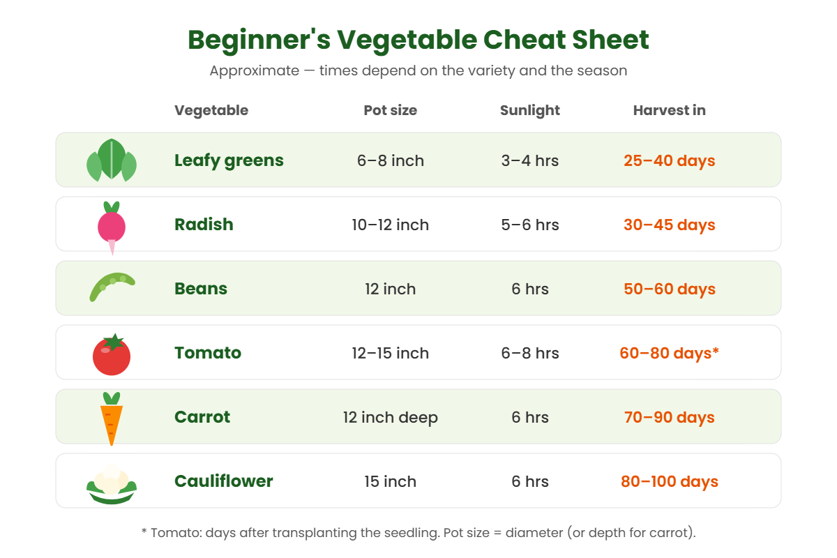 Cheat sheet of easy vegetables to grow at home with pot size, sunlight and days to harvest