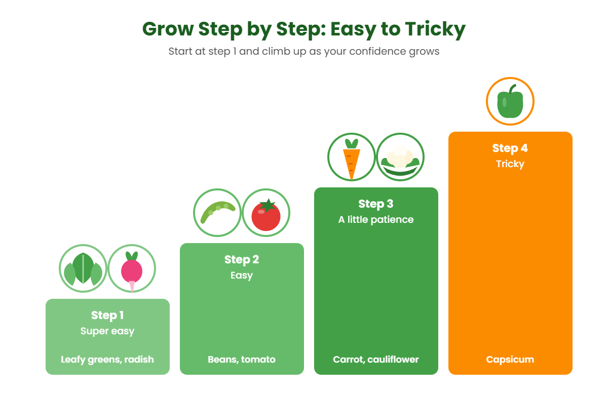 Step chart of vegetables from easy to tricky for beginner gardeners