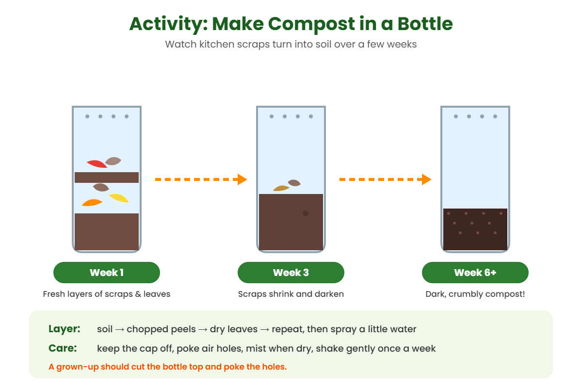 Compost in a bottle activity for kids showing layers of soil, peels and leaves turning into compost over six weeks