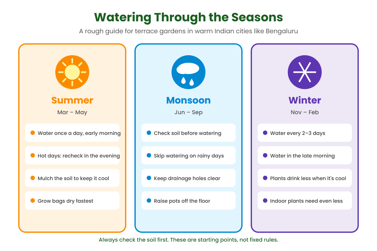 Seasonal watering guide for terrace gardens in summer, monsoon and winter